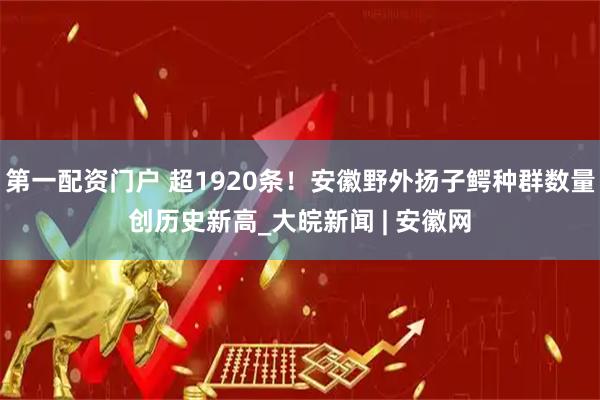 第一配资门户 超1920条！安徽野外扬子鳄种群数量创历史新高_大皖新闻 | 安徽网